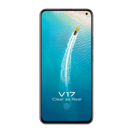 Vivo V17 8GB + 128GB
