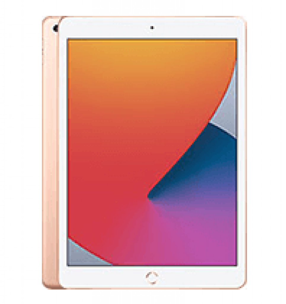 APPLE iPad 10.2 256GB Wifi Only 2021 9th gen
