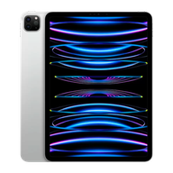 APPLE iPad Pro 11 256GB Wifi Only 2022 4th gen