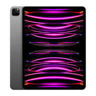 APPLE iPad Pro 12.9 512GB WiFi Cellular 2022 6th gen